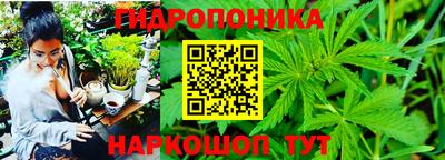 прущие крисы Моздок