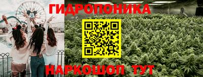 прущие крисы Можайск