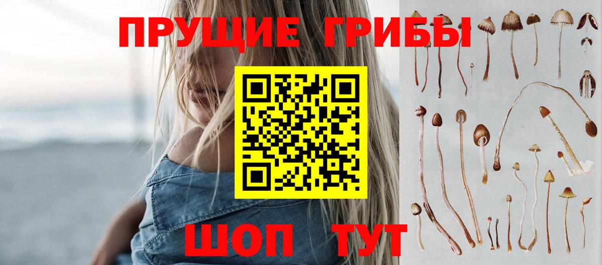 Галлюциногенные грибы Psilocybine cubensis  Вход с VPN  Белебей 
